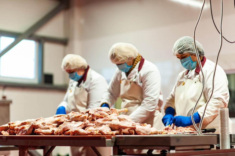 Висока якість і стандарти чистоти у виробництві м'яса для шаурми