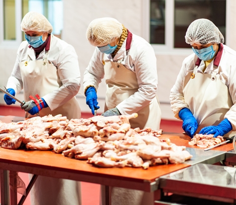 Производство куриного мяса для шаурмы